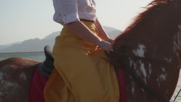 Lähikuva tunnistamaton nainen ratsastus hevonen värikkäitä vaatteita hidastettuna
 - Materiaali, video