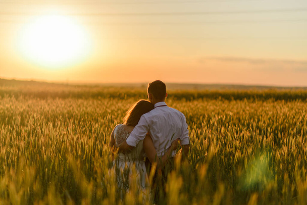 Braut und Bräutigam in einem Weizenfeld. Das Paar umarmt sich bei Sonnenuntergang und blickt mit dem Rücken zur Kamera in die Ferne. - Foto, Bild