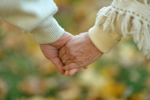 Couple holding  hands together  - Foto, Imagem