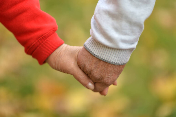 Couple holding  hands together  - Фото, зображення