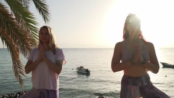Dwie kobiety ćwiczą drzewną jogę i dają sobie po zachodzie słońca. - Materiał filmowy, wideo