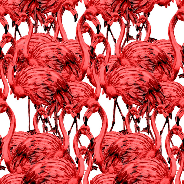 Dekorasyon tasarımı için flamingo ile harika bir suluboya deseni. Suluboya hayvani bir geçmişi var. Suluboya çizimi. Tropik illüstrasyon. Vahşi yaşamın kusursuz bir düzeni var. - Fotoğraf, Görsel