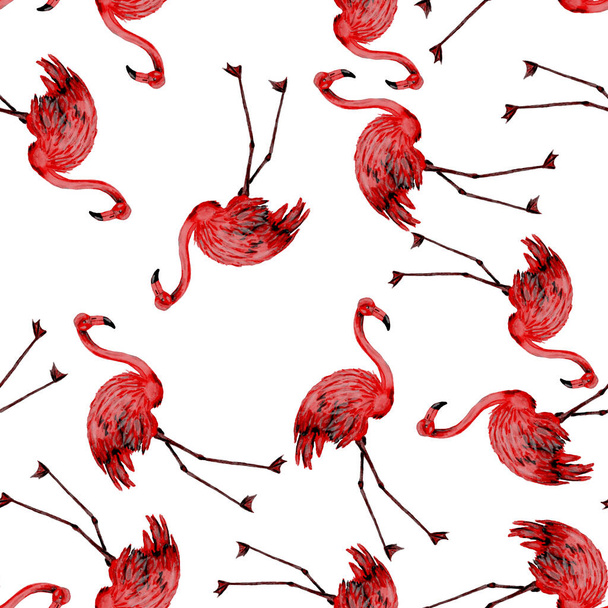 Beautiful watercolor pattern with flamingo for decoration design. Watercolor animalistic background. Watercolor illustration. Tropical illustration. Wildlife seamless pattern - Zdjęcie, obraz