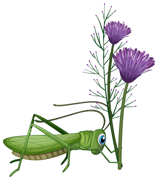 Grasshopper y flores púrpuras sobre fondo blanco ilustración
 - Vector, Imagen