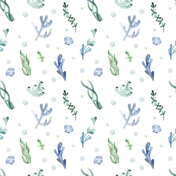 Algae, corals on a white background. Watercolor seamless pattern - Фото, изображение