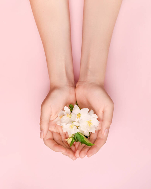 /in the hands of a woman are young tender flowers. The concept of health, ecology, body care. View from above. Pink background. - Foto, afbeelding