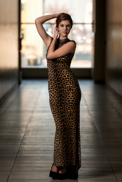 Model Wearing A Dress With Animal Print - Photo, Image
