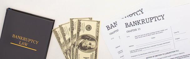обзор документов о банкротстве, книги законов и денег на белом фоне, панорамный снимок
 - Фото, изображение