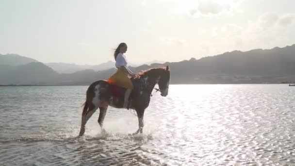 Valkoihoinen blondi tyttö ratsastus hevonen läpi veden auringonnousun hidastettuna
 - Materiaali, video