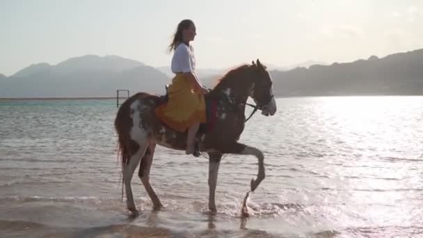 Nuori tyttö hevosen selässä, kun hevonen lyö kavionsa veteen hidastettuna
 - Materiaali, video