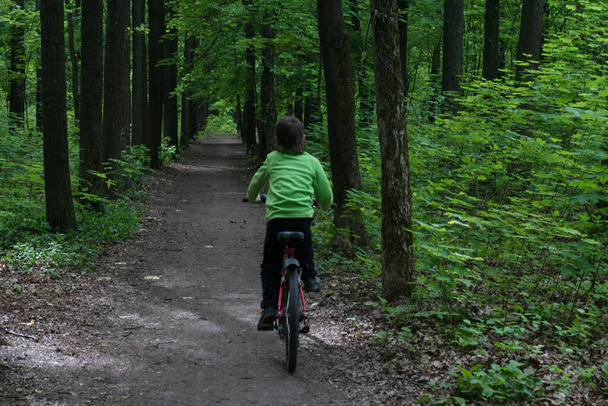 мальчик едет на велосипеде в глубоком темно-зеленом лесу, на свежем воздухе, красивая дикая природа, здоровый образ жизни
 - Фото, изображение
