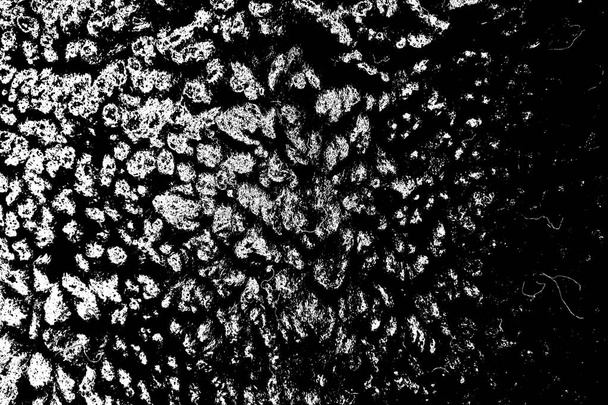 Abstraktní pozadí. Monochromní textura. Černobílé texturované pozadí.       - Fotografie, Obrázek