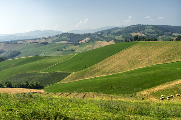 Paisaje rural cerca de Medesano, en la provincia de Parma, Emilia-Romaña, Italia, en verano
 - Foto, Imagen