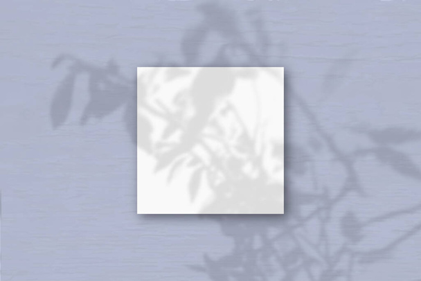 I fogli quadrati di carta bianca strutturata su sfondo blu parete. Il Mockup si sovrappone alle ombre delle piante. La luce naturale getta ombre da una pianta esotica. Posa piatta, vista dall'alto. Orientamento orizzontale - Foto, immagini
