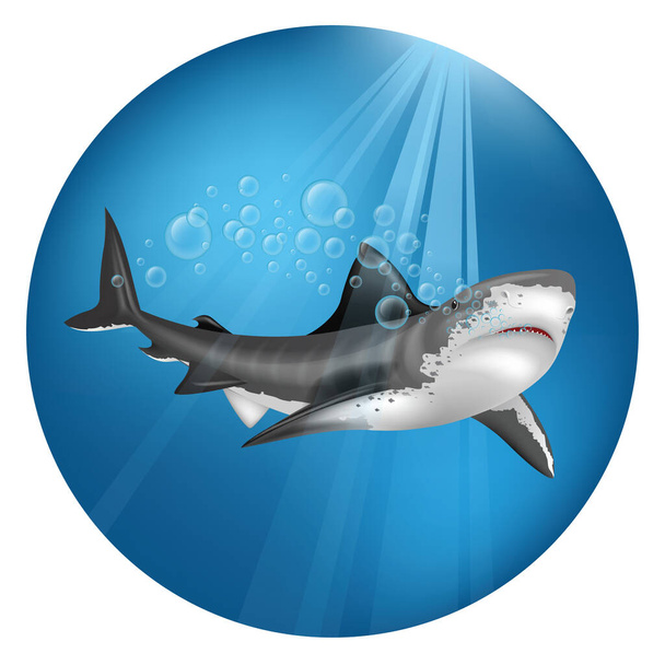 A shark underwater illustration. - Vektör, Görsel