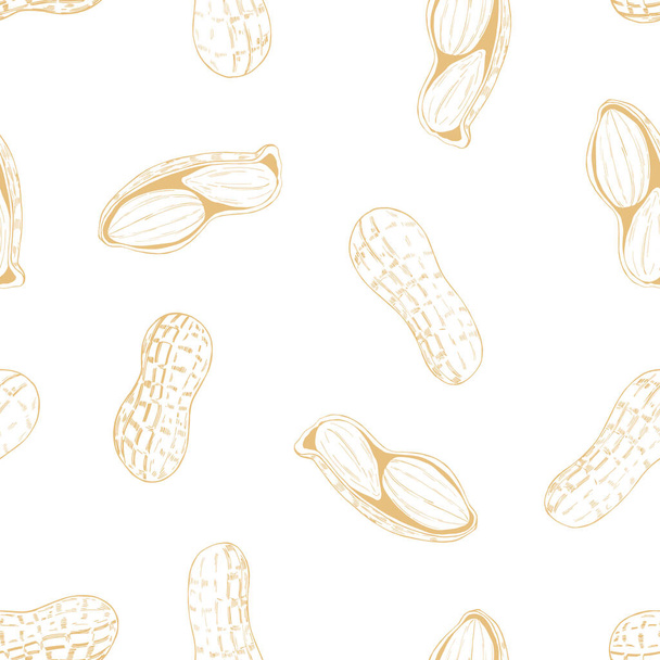 Nozes desenhadas à mão. Amendoins de noz. Padrão sem costura vetorial
 - Vetor, Imagem