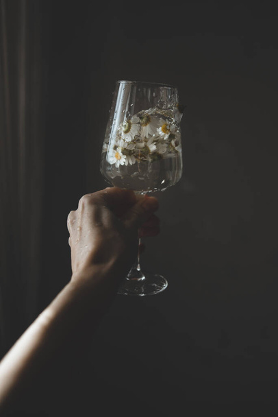 Wineglass with chamomiles flowers and water splashes in hand on dark background. Minimal and creative style. - Foto, Imagem