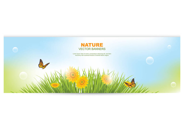 A nature banner with sunflower. - Vector, Image