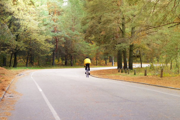 Ciclista in protezione in autunno bosco di conifere. Andare in bicicletta tra i tanti alberi. Sport e concetto di vita attiva. Uno stile di vita sano. Giornata di sole
. - Foto, immagini