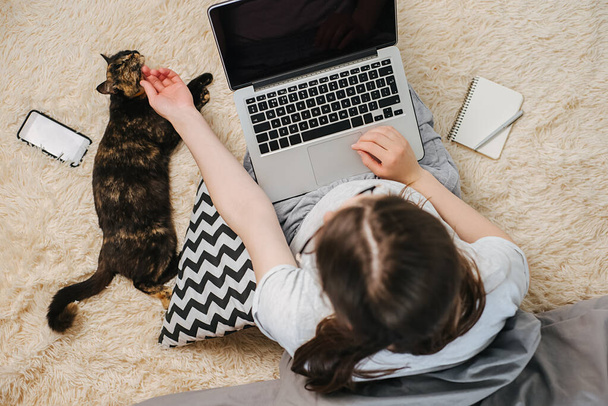 Overhead view of young woman using laptop sitting on floor with cute black cat, notebook, pen and modern smartphone, freelance girl searching for information on Internet. Distant work online - Photo, Image