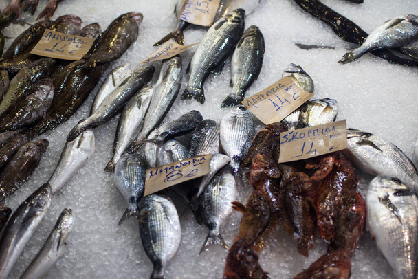 Fruits de mer méditerranéens frais sur glace au marché aux poissons, magasin. Vue du haut vers le bas sur plusieurs rangées de divers poissons crus fraîchement pêchés sur la glace à vendre à Kerkyra
 - Photo, image