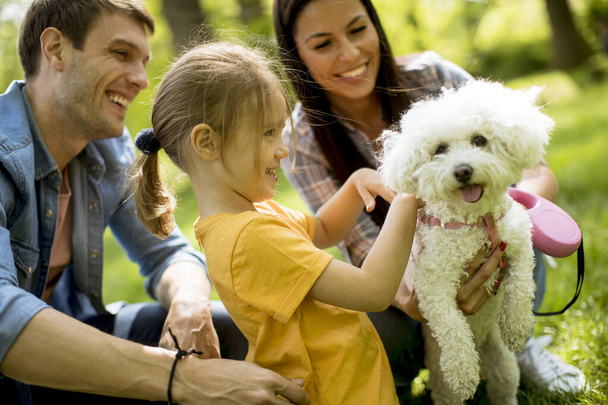 Piękna szczęśliwa rodzina bawi się z psem bishon na świeżym powietrzu w parku - Zdjęcie, obraz