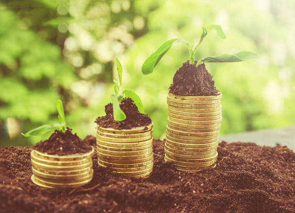 Money Growing - Coin Plant - Concetto di finanza e investimenti. pile di monete nel terreno
. - Foto, immagini