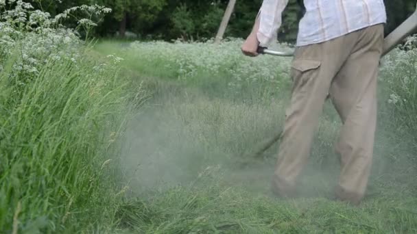 vodní kapka mokré trávě řez - Záběry, video