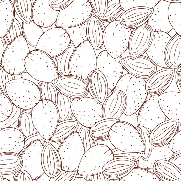 Hand drawn nuts. Almond. Vector  seamless pattern - Vektör, Görsel