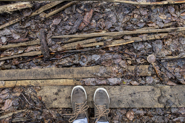 чоботи мандрівника знаходяться на землі дощок і опалого листя
 - Фото, зображення