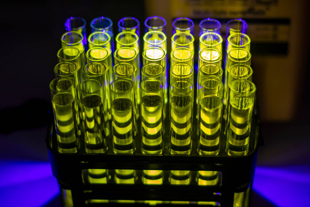 生物医学研究のための化学研究室で複数の試験管内のカラムクロマトグラフィーから収集した有機化合物溶液を接着する - 写真・画像