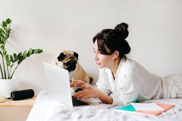 Jong mooi meisje werkt met laptop op bed in de buurt van een hond thuis in isolatie. Binnenlandse Zaken. Begrip werken en studeren in afzondering. - Foto, afbeelding