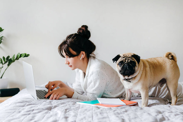Young beatiful girl is working with laptop on bed near a dog at home in isolation. Home office. Concept of working and studying in isolation. - Zdjęcie, obraz