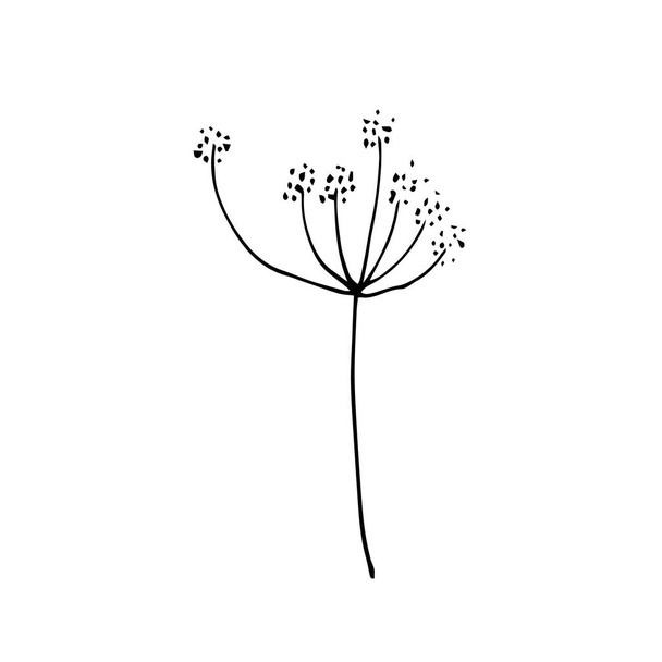 Sign hand drawn summer herb. Flower twig isolated on white background. black silhouette.Contour. Doodle outline vector illustration for wedding design,logo, greeting card. - Vektör, Görsel
