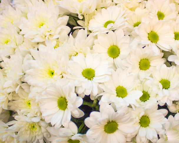 Beautiful flowers. Background. Bright colours. Bouquet - Photo, Image