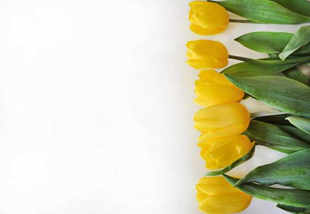 Világossárga tulipánok és zöld levelek fekszenek világosszürke háttéren. A születésnapi, húsvéti, esküvői vagy anyák napi üdvözlőlap mintája. A szöveg helye (másolási hely). Vízszintes fénykép. - Fotó, kép