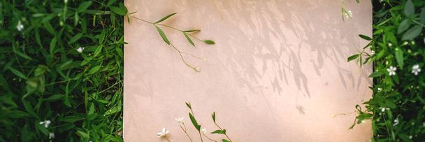 Fondo floral verde creativo de hojas naturales y hierba del prado. Marco de papel Kraft
 - Foto, imagen