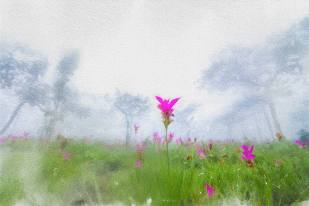 Aquarela pinturas de Siam Tuli rosa
 - Foto, Imagem