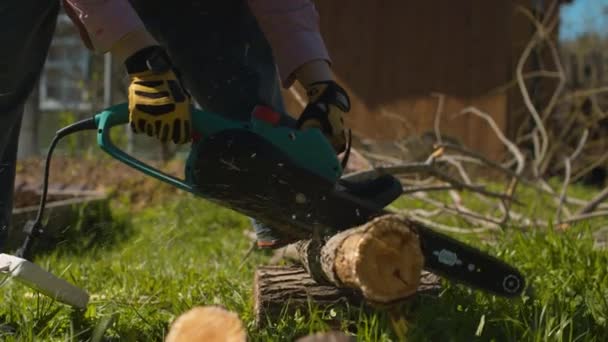 Hands of a woman cutting tree on the yard - Footage, Video