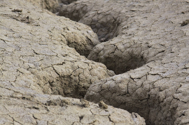 Canale d'acqua non dulato nella consistenza del terreno asciutto. I vulcani Berca Mud sono una riserva geologica e botanica. Piccole strutture a forma di vulcano causate dall'eruzione di fango e gas naturali. - Foto, immagini