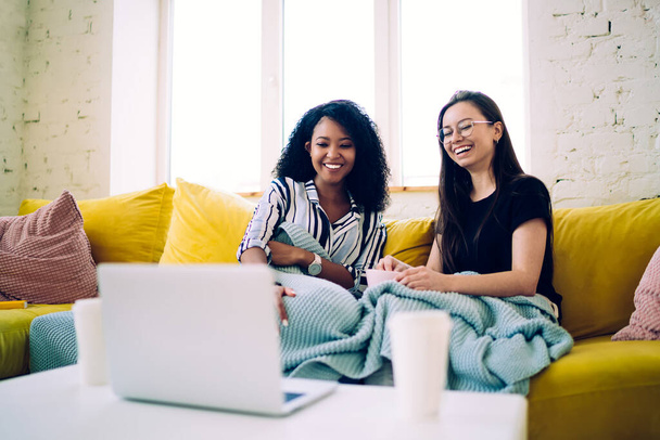 Glad enthusiastic multiracial female friends in casual wear chilling on soft comfy sofa under blanket and surfing laptop in light modern room   - Фото, зображення