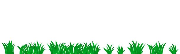 Zöld lédús fű fehér háttérrel - panoráma - Vektor, kép