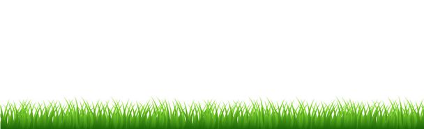 Verde hierba jugosa sobre un fondo blanco - panorama
 - Vector, imagen
