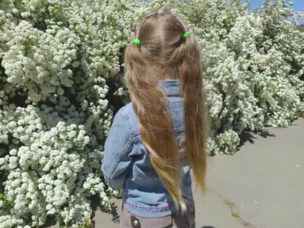 Όμορφο κοριτσάκι με μακριά ξανθά μαλλιά με δύο αλογοουρές σε μπλε τζιν μπουφάν σε ανθισμένο φόντο της φύσης 4K. Το παιδί που στέκεται στο πάρκο με τους ανθισμένους θάμνους. Βίντεο δρόμου. - Πλάνα, βίντεο