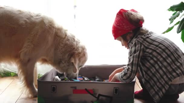 video divertido. amor por las mascotas. un gran perro blanco ayuda a un niño a buscar detalles para un constructor
. - Imágenes, Vídeo