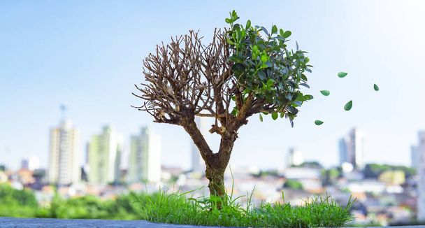 Загрязнение чистого воздуха Зеленый концептуальный арт-дерево растет - Фото, изображение