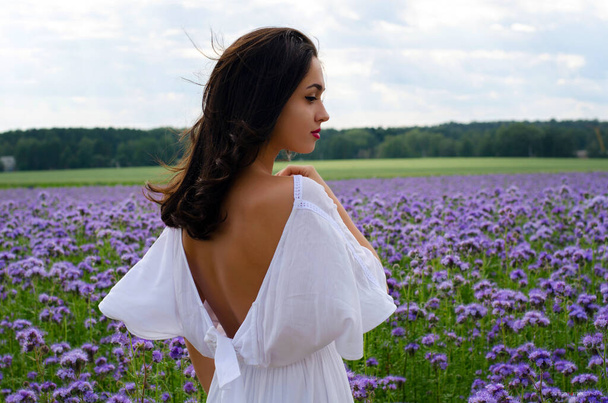 una giovane ragazza in abito bianco in un campo di campi flowers.summer con fiori sul campo
 - Foto, immagini