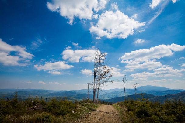 Krásné panorama pořízené v polských horách Beskidy na cestě do Rysianky přes Romanku během slunečného jara. Krajina zachycena během trekking. - Fotografie, Obrázek