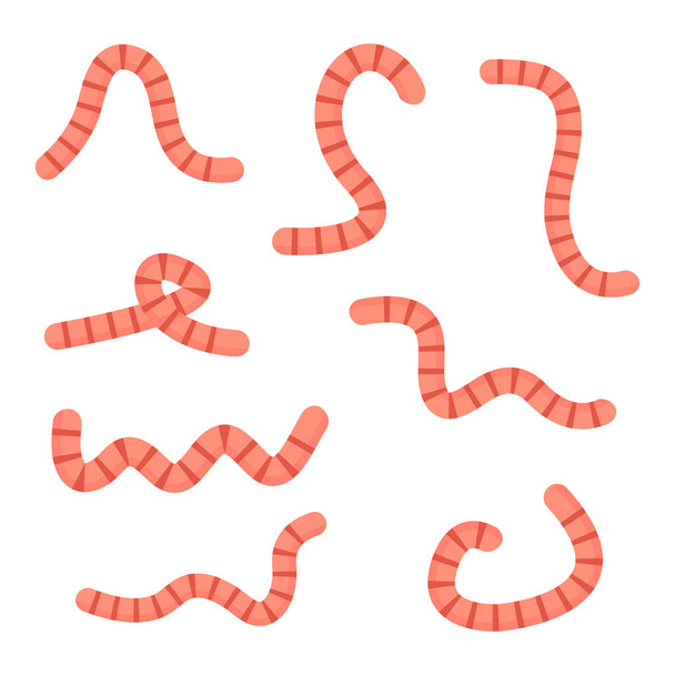Earthworms crawling set. Vector worm cartoon illustration isolated on white background. - Vector, Image