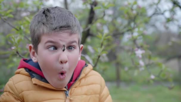 彼の顔に蜂蜜の蜂を持っている面白い少年の肖像画忘れられた子供は虫刺されを恐れている - 映像、動画